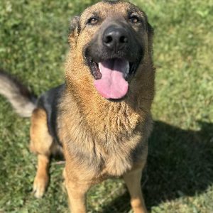 TYSON