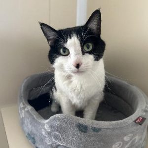 RIPLEY