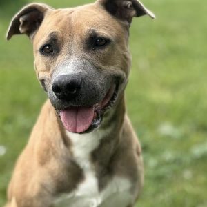 NALA