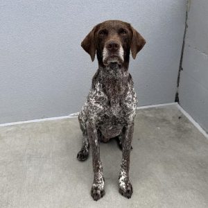 RUSTY