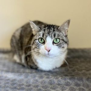 NALA