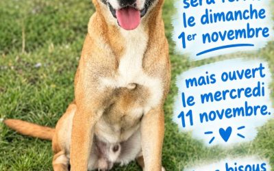 Les jours fériés de novembre 2026